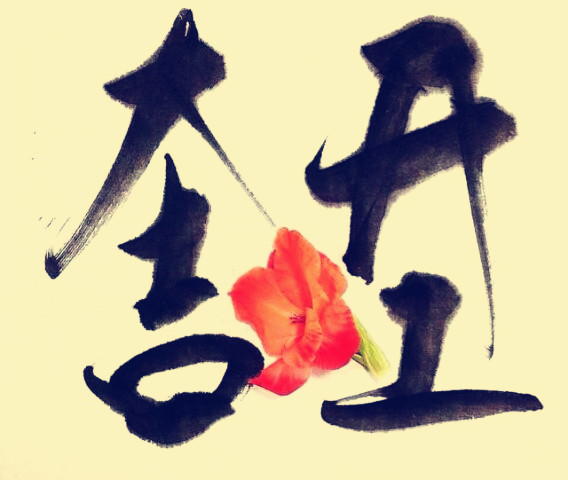 駿業(yè)包裝開工大吉！